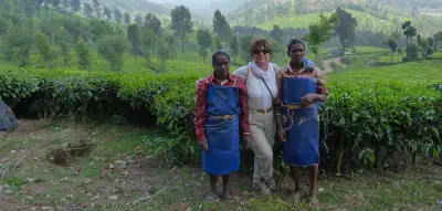 South India: Kerala & Tamil Nadu gallery image